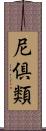 尼倶類 Scroll