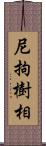 尼拘樹相 Scroll