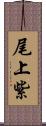 尾上紫 Scroll