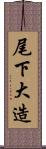 尾下大造 Scroll