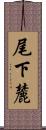 尾下麓 Scroll