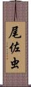 尾佐虫 Scroll
