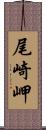 尾崎岬 Scroll