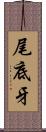 尾底牙 Scroll