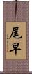 尾早 Scroll