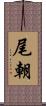 尾朝 Scroll
