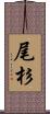 尾杉 Scroll