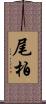 尾柏 Scroll