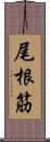 尾根筋 Scroll