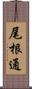 尾根通 Scroll