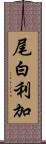 尾白利加 Scroll
