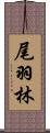 尾羽林 Scroll