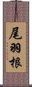 尾羽根 Scroll