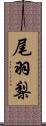 尾羽梨 Scroll