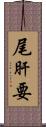 尾肝要 Scroll