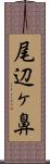 尾辺ヶ鼻 Scroll