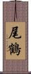 尾鶴 Scroll