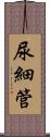 尿細管 Scroll