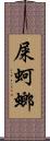 屎蚵螂 Scroll
