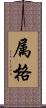 属格 Scroll