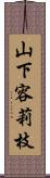 山下容莉枝 Scroll