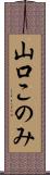 山口このみ Scroll