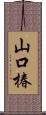 山口椿 Scroll