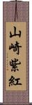 山崎紫紅 Scroll