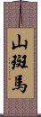 山斑馬 Scroll