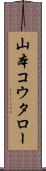 山本コウタロー Scroll