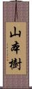 山本樹 Scroll