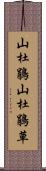 山杜鵑 Scroll