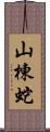 山棟蛇 Scroll