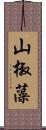 山椒藻 Scroll