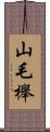 山毛櫸 Scroll