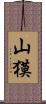 山獏 Scroll