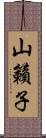 山籟子 Scroll
