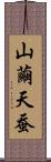 山繭 Scroll