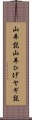 山羊髭 Scroll
