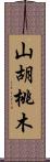 山胡桃木 Scroll