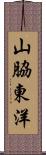 山脇東洋 Scroll