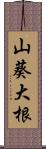 山葵大根 Scroll