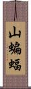 山蝙蝠 Scroll