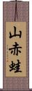 山赤蛙 Scroll