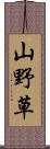 山野草 Scroll