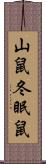山鼠 Scroll