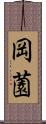 岡薗 Scroll