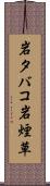岩タバコ Scroll