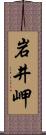 岩井岬 Scroll