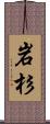 岩杉 Scroll